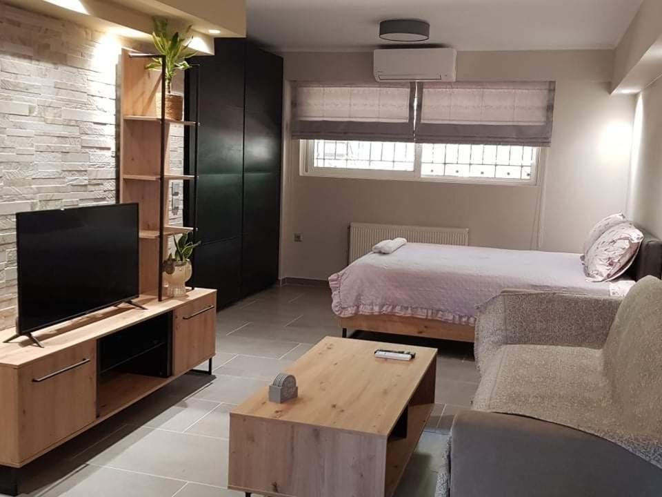 Lefkaditika Luxury Apartment Превеза Экстерьер фото